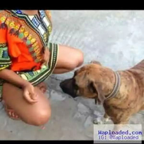 Hilarious!!! Lady Opens Her Legs For Dog To See...